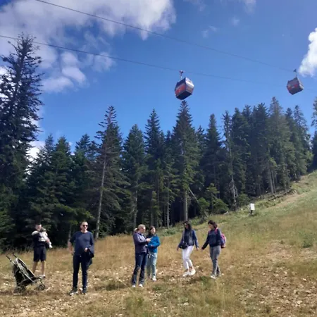 Koliba Ravna Planina Pale