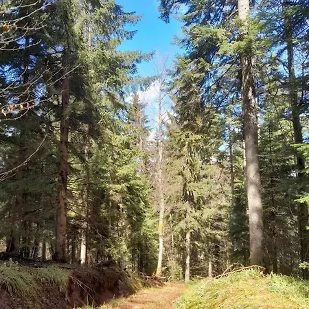 Vakantiehuis Koliba Ravna Planina Pale