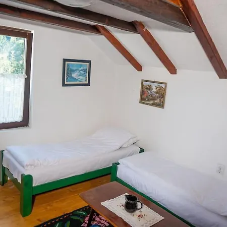 Prázdninový dům Koliba Ravna Planina