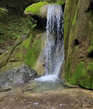 Vakantiehuis Koliba Ravna Planina Pale