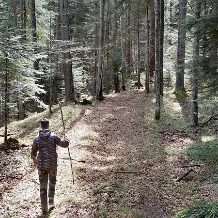 Koliba Ravna Planina Vakantiehuis