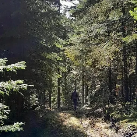 Vakantiehuis Koliba Ravna Planina Pale